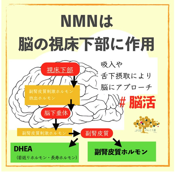 けんこう屋さん。～長崎市の完全個室オイル・マッサージ