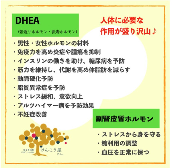 けんこう屋さん。～長崎市の完全個室オイル・マッサージ